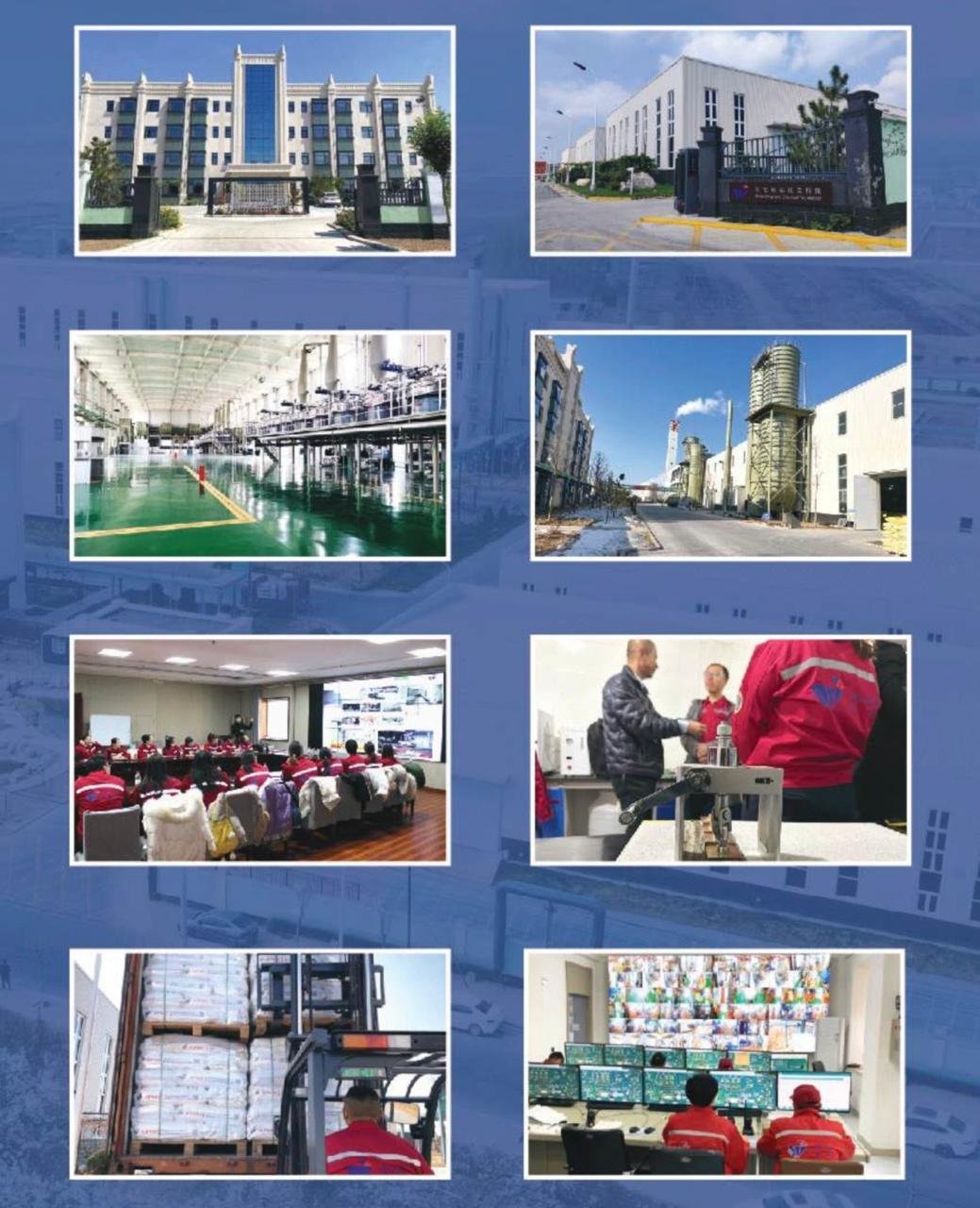 9109f5bf-8005-47f5-9827-fe4fd5f62f87